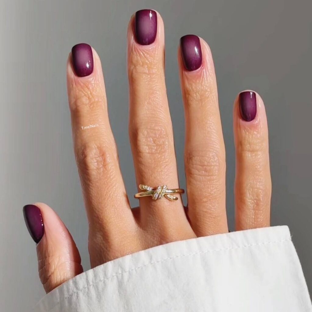 Deep Plum Jelly Ombre Nails: The Ultimate Moody Autumn Manicure